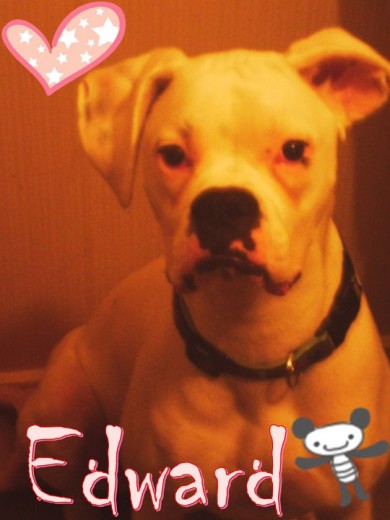 Mi Bebe <3